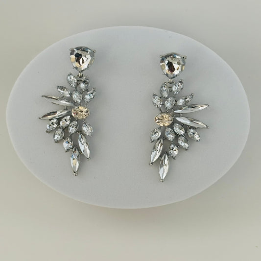 Sparkling Drop Earrings